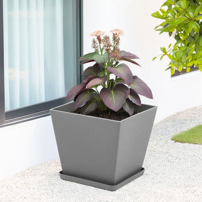 SQUARE POT LILIUM