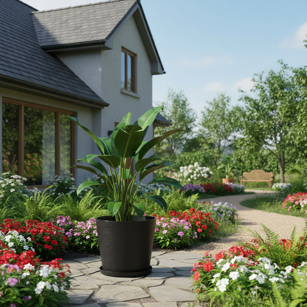 POT ROND LILIUM