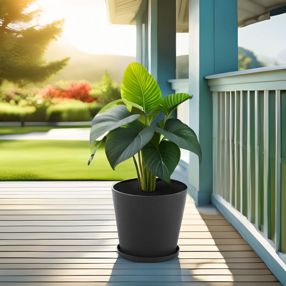 POT ROND LILIUM