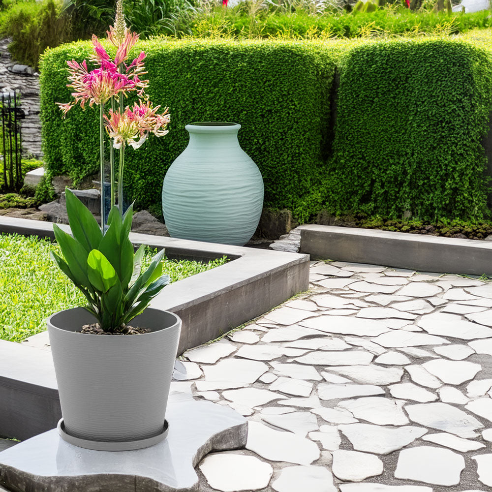 POT ROND LILIUM